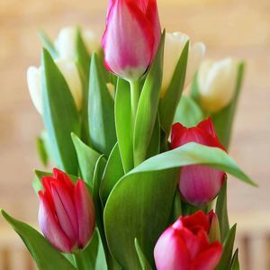 Meet your Posher, Robbin